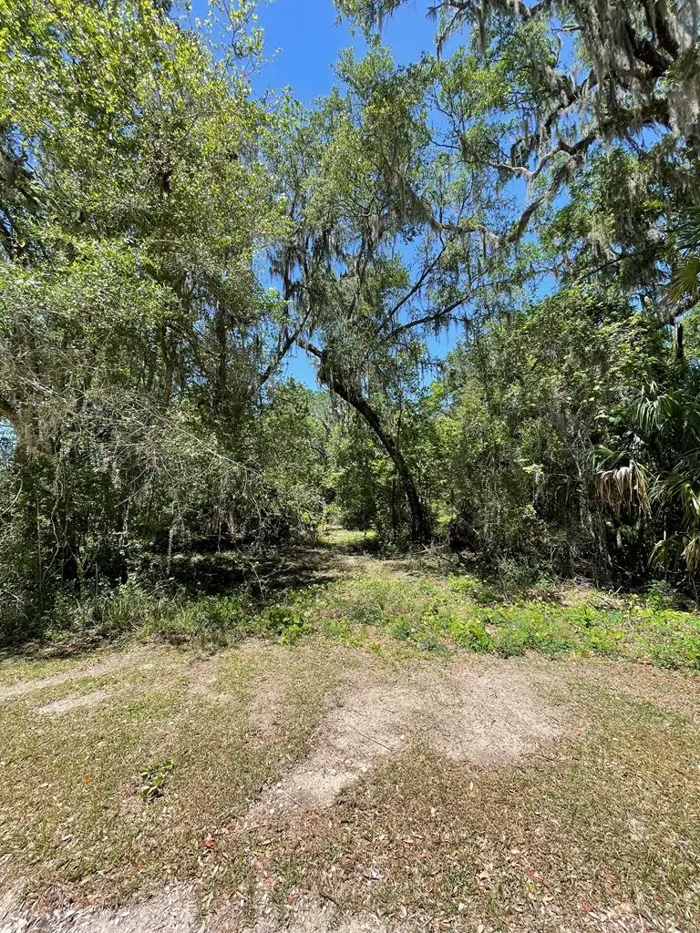 3140 SE Hwy 55a, Old Town, FL 32680 - #1