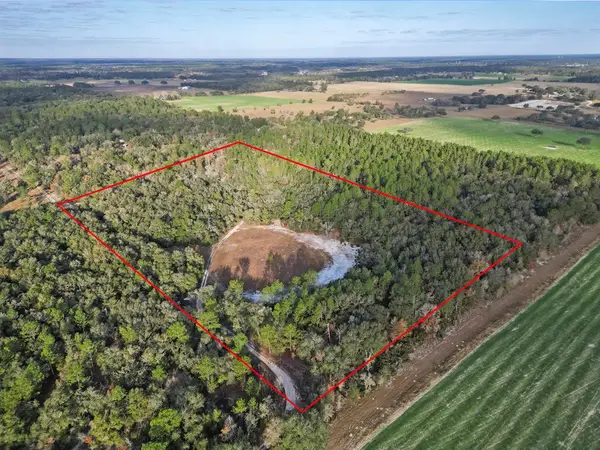 10431 NE 32nd Ln, Bronson, FL 32621