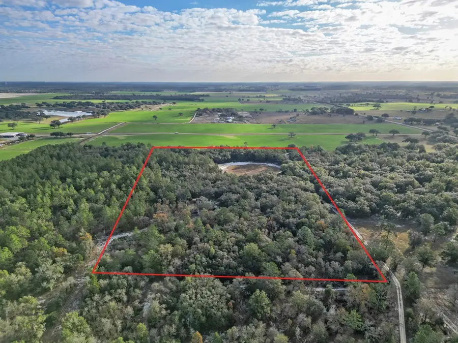 10431 NE 32nd Ln, Bronson, FL 32621 - #3