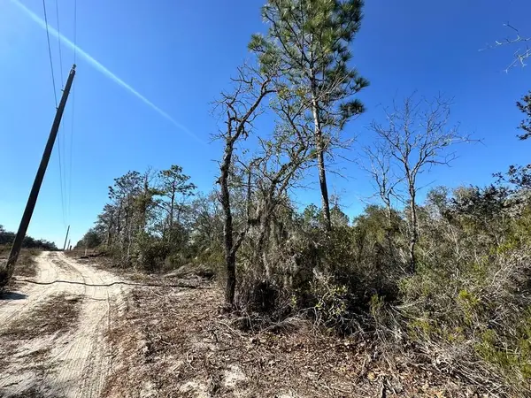 000 NE 63rd Pl, Williston, FL 32696