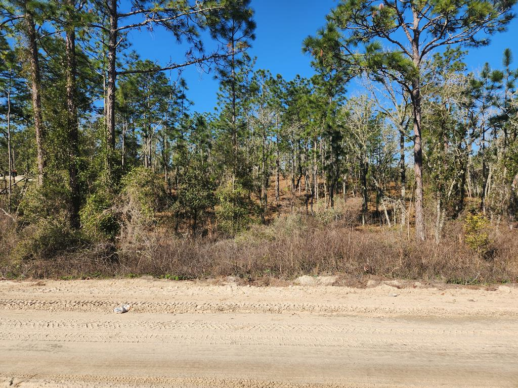 SE 148th Ave, Williston, FL 32696 - #1
