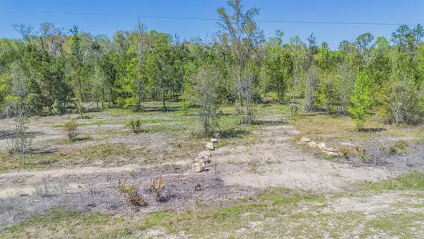 0 SW Hwy 361, Jena, FL 32359