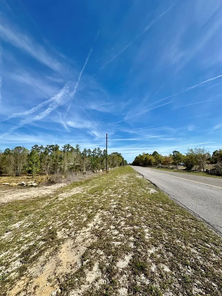 0 SW Hwy 361, Jena, FL 32359 - #2