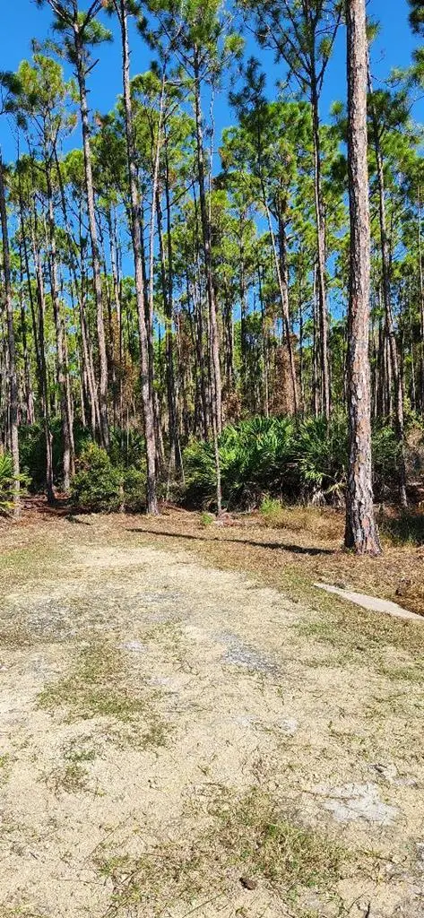 LOT 9 SW 104th St, Cedar Key, FL 32625