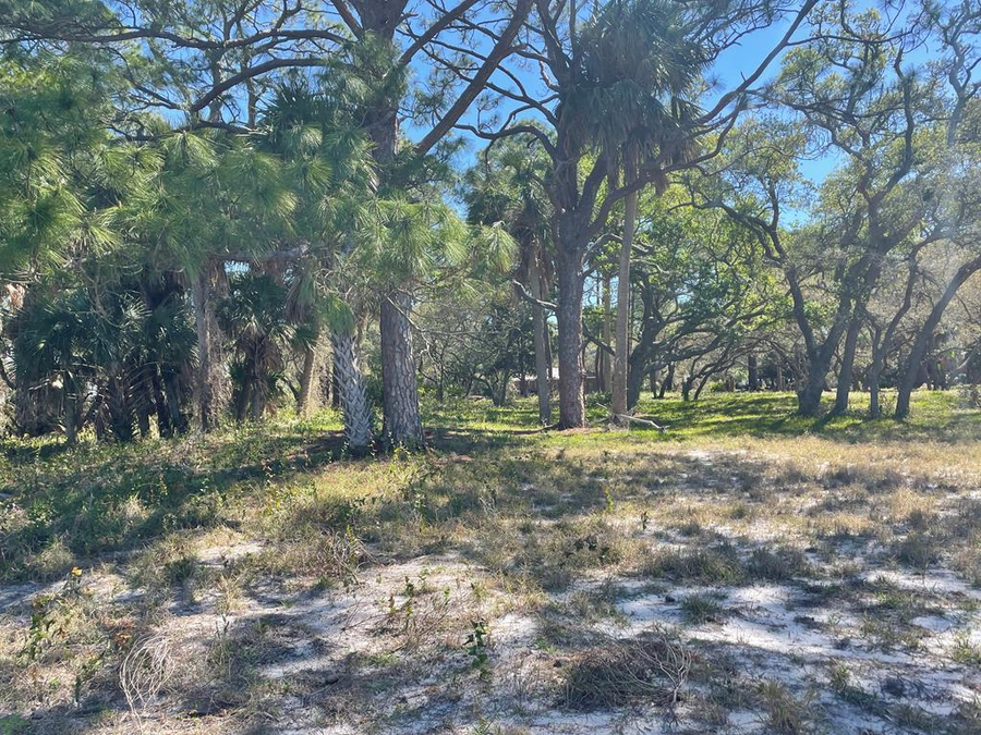Airport Rd, Cedar Key, FL 32625 - #3