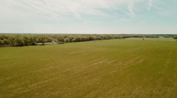 000 SW 180th Ave, Dunnellon, FL 34432