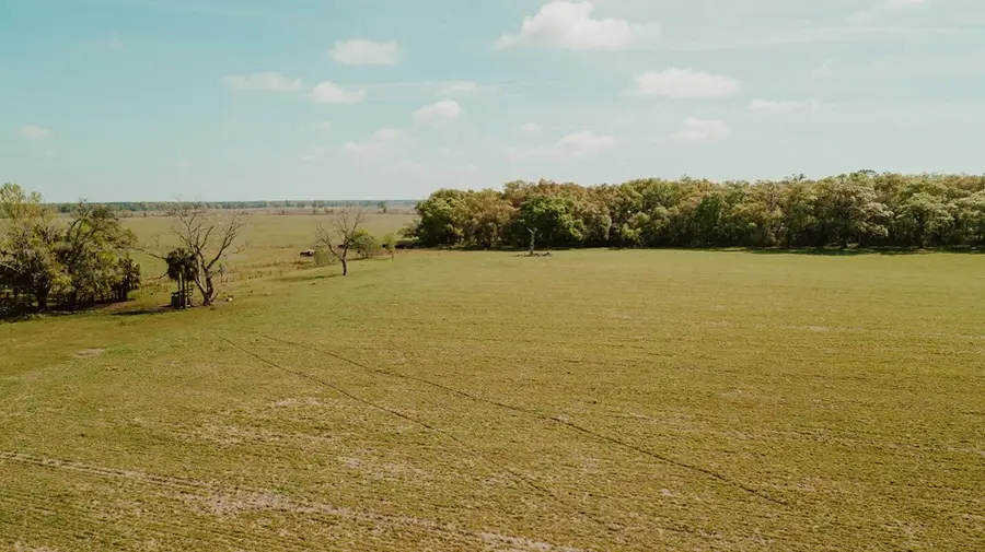 000 SW 180th Ave, Dunnellon, FL 34432 - #2