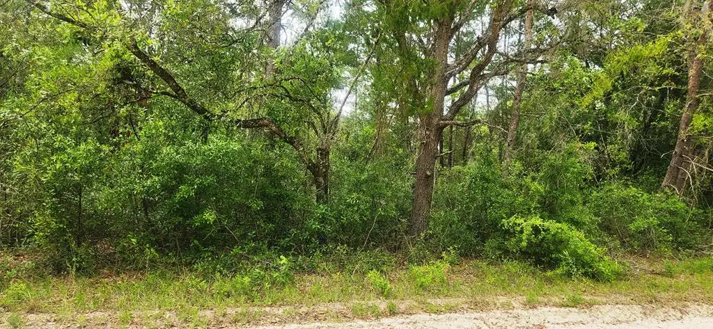 NE 280th Ave, Old Town, FL 32680 - #1