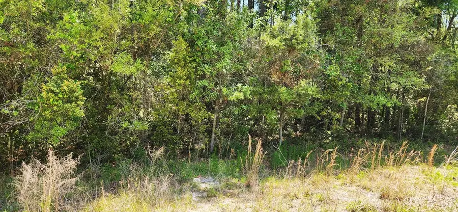 NE 280th Ave, Old Town, FL 32680 - #2