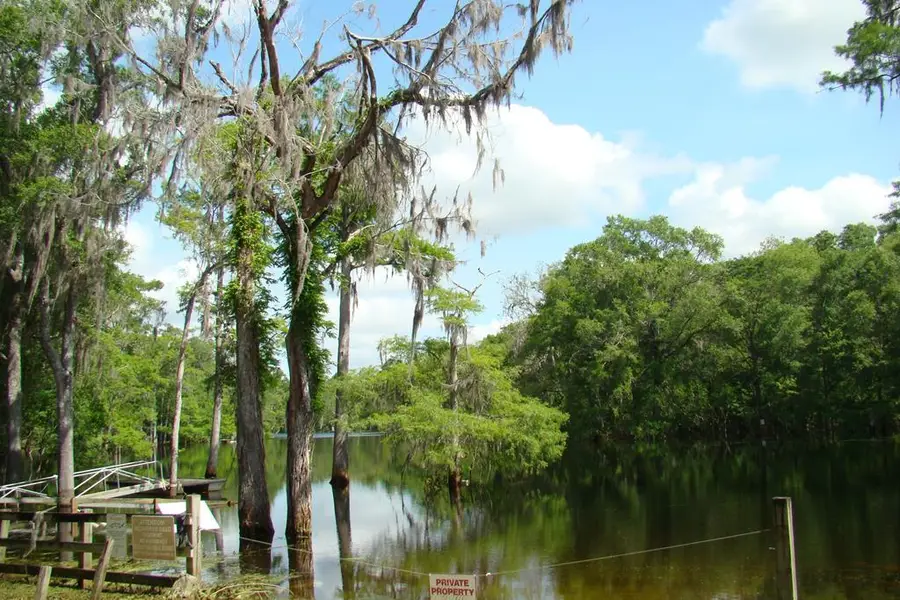 NE 127th St, Branford, FL 32008 - #2