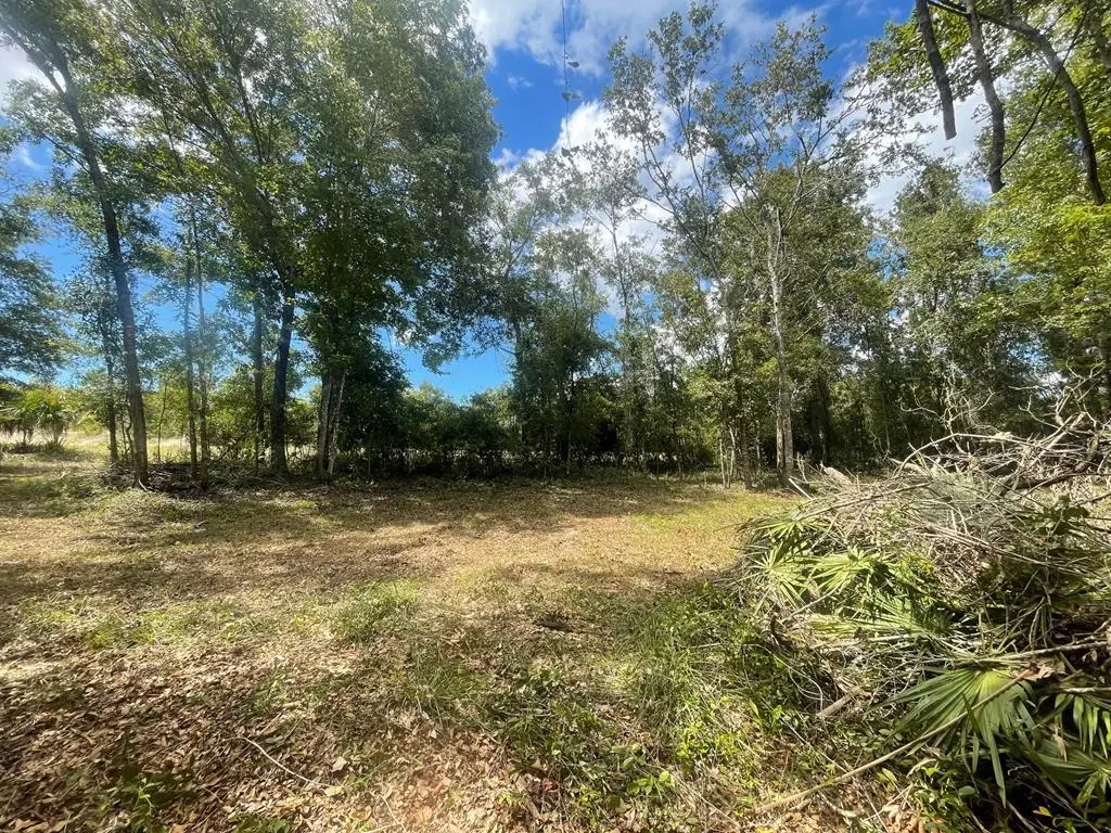 TBD Hwy 361, Steinhatchee, FL 32359 - #1