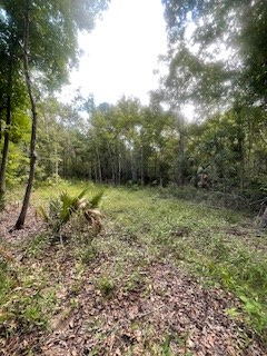 TBD Hwy 361, Steinhatchee, FL 32359 - #3