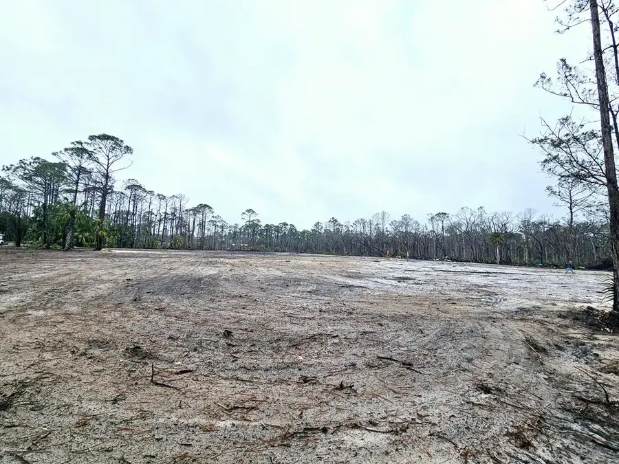 E Second St, Steinhatchee, FL 32359 - #2