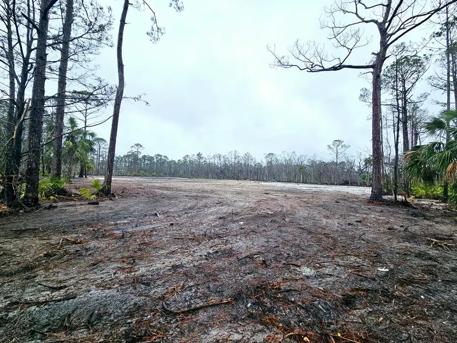 E Second St, Steinhatchee, FL 32359 - #3