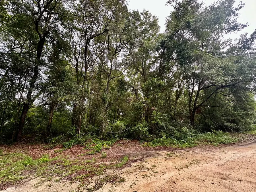 000 NW 76th Ter, Chiefland, FL 32626 - #3