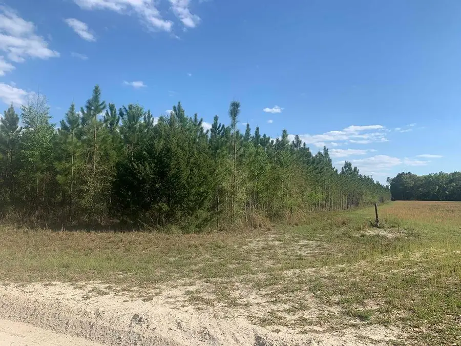 TBD NW 42nd Ct, Bell, FL 32619 - #3