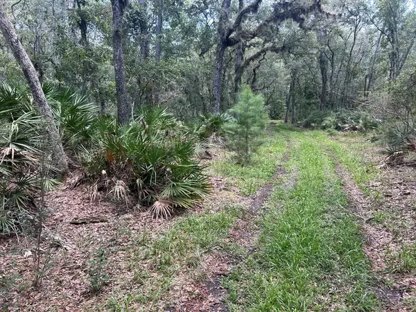 00 NW 87th Pl, Chiefland, FL 32626