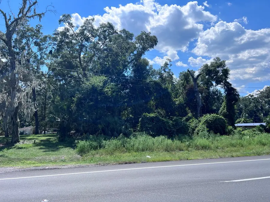 Hwy 19, Fanning Springs, FL 32693 - #2