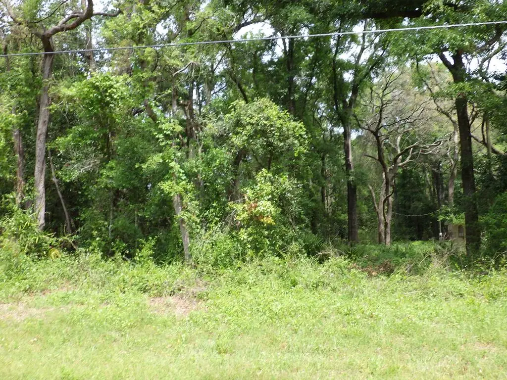 LOT 87 NW 168th Ln, Trenton, FL 32693 - #1