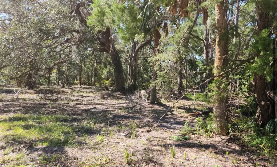 0 SE 304th St, Cross City, FL 32628 - #3