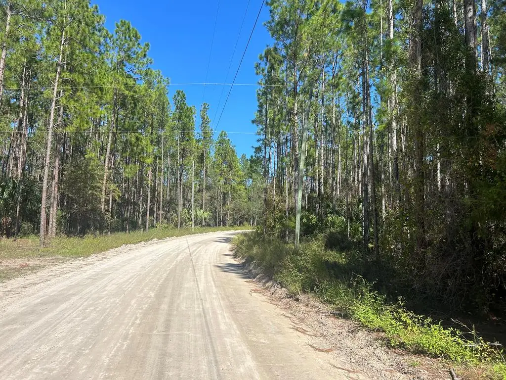 00 NW Camp Azalea Rd, Chiefland, FL 32626 - #1