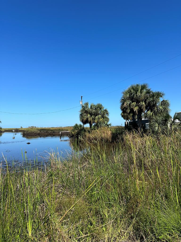 0 SE Hwy 349, Cross City South, FL 32692 - #1