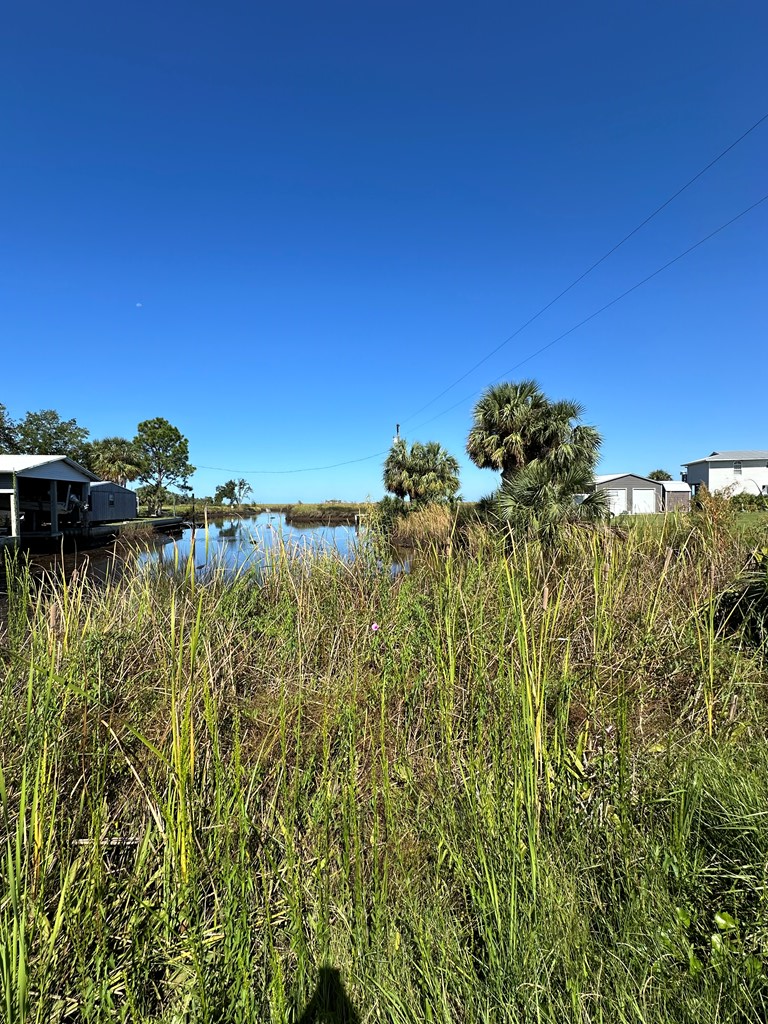 0 SE Hwy 349, Cross City South, FL 32692 - #2