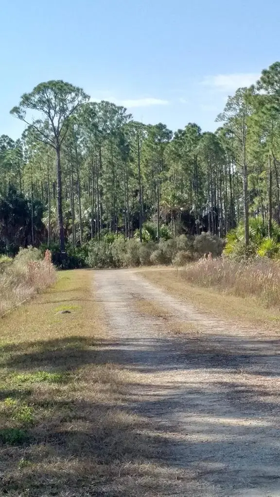 LOT 7 SW 104th St, Cedar Key, FL 32625 - #1