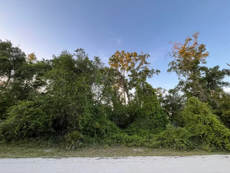 NE 481st Ave, Old Town, FL 32680 - #2