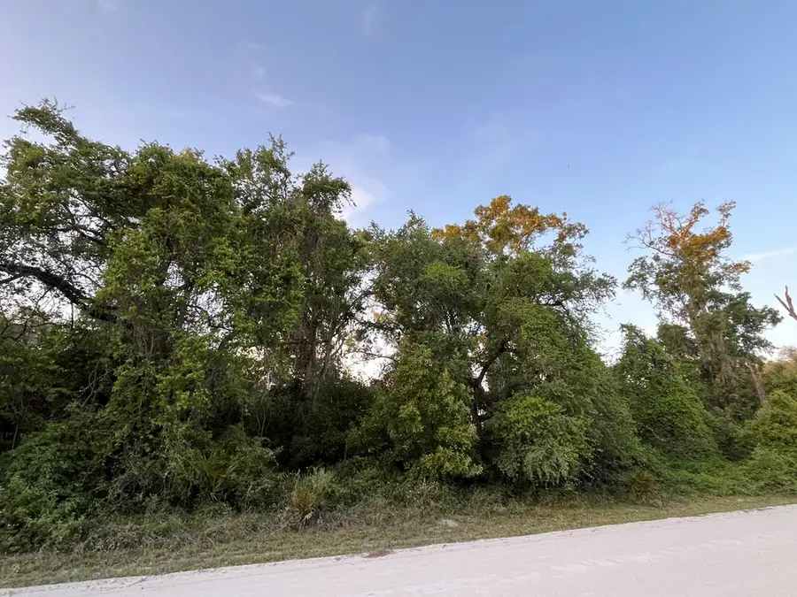 NE 481st Ave, Old Town, FL 32680 - #3