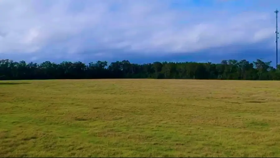 NW 60th St, Chiefland, FL 32626 - #2