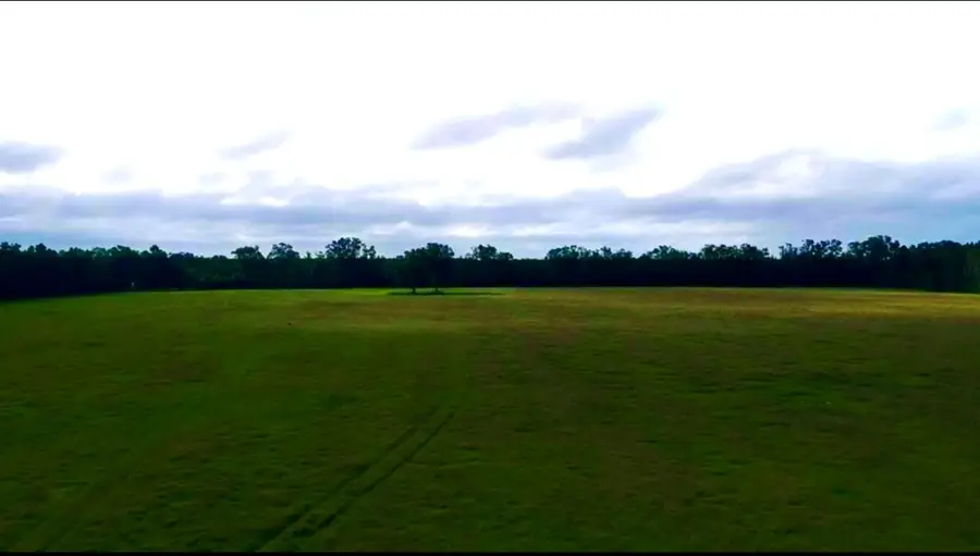 NW 60th St, Chiefland, FL 32626 - #3