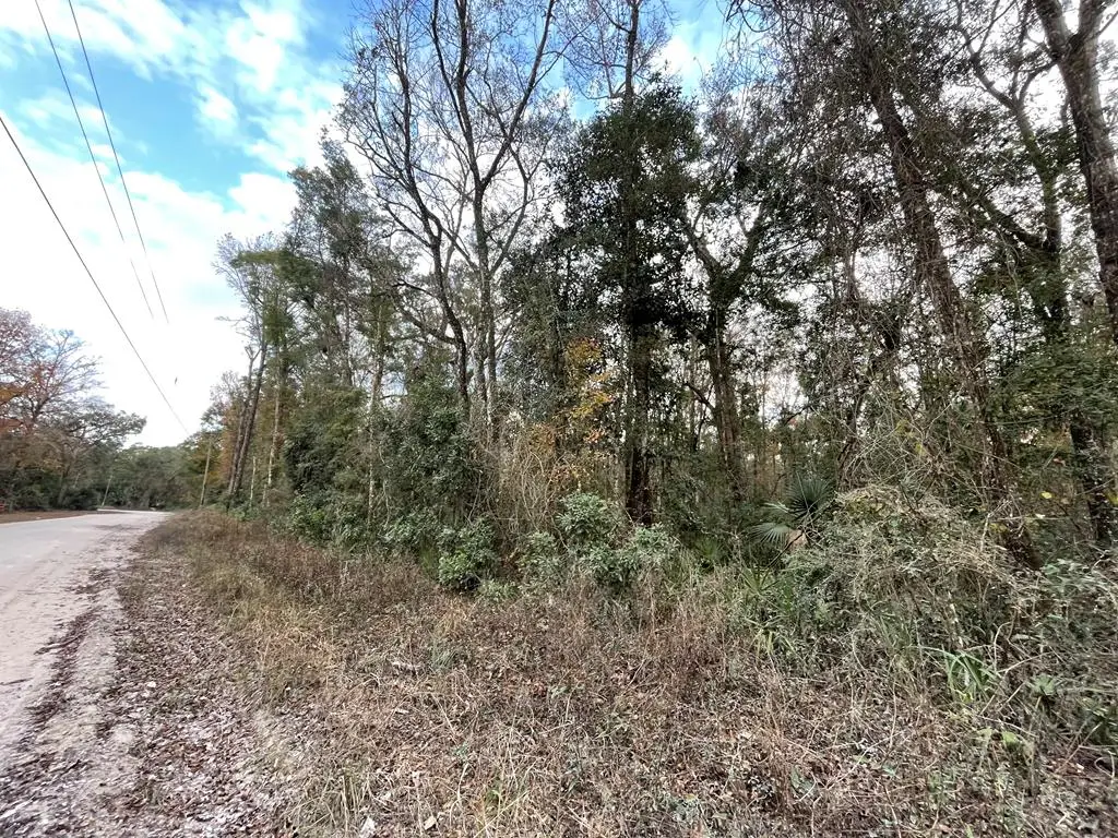 LOT 13 NE 642nd St, Old Town, FL 32680 - #1