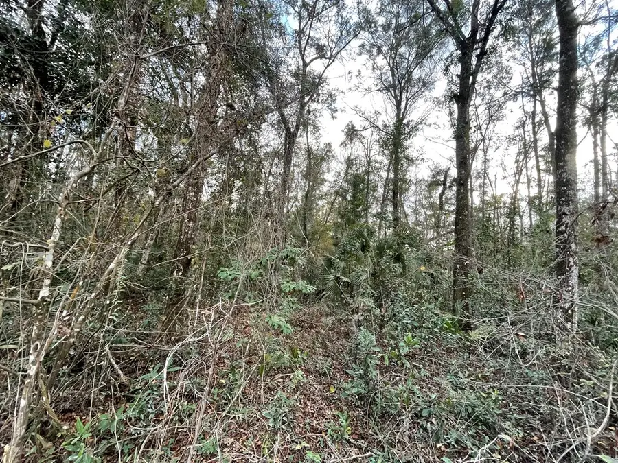 LOT 13 NE 642nd St, Old Town, FL 32680 - #2
