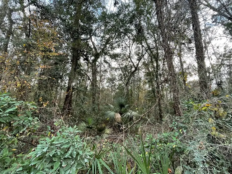 LOT 13 NE 642nd St, Old Town, FL 32680 - #3