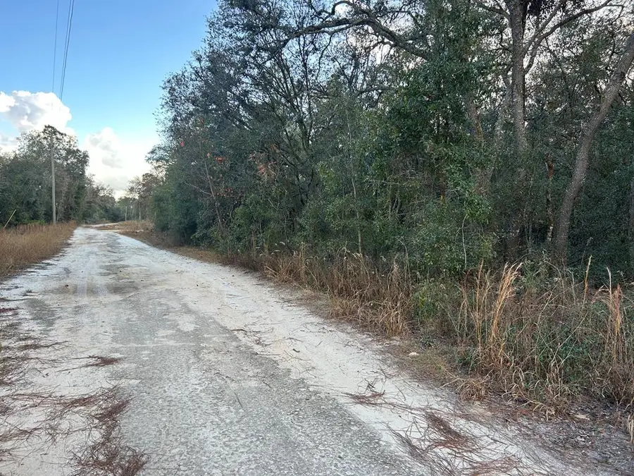 73rd Ln, Bronson, FL 32621 - #2