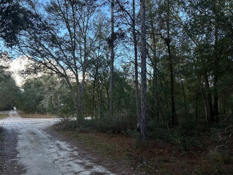 73rd Ln, Bronson, FL 32621 - #3