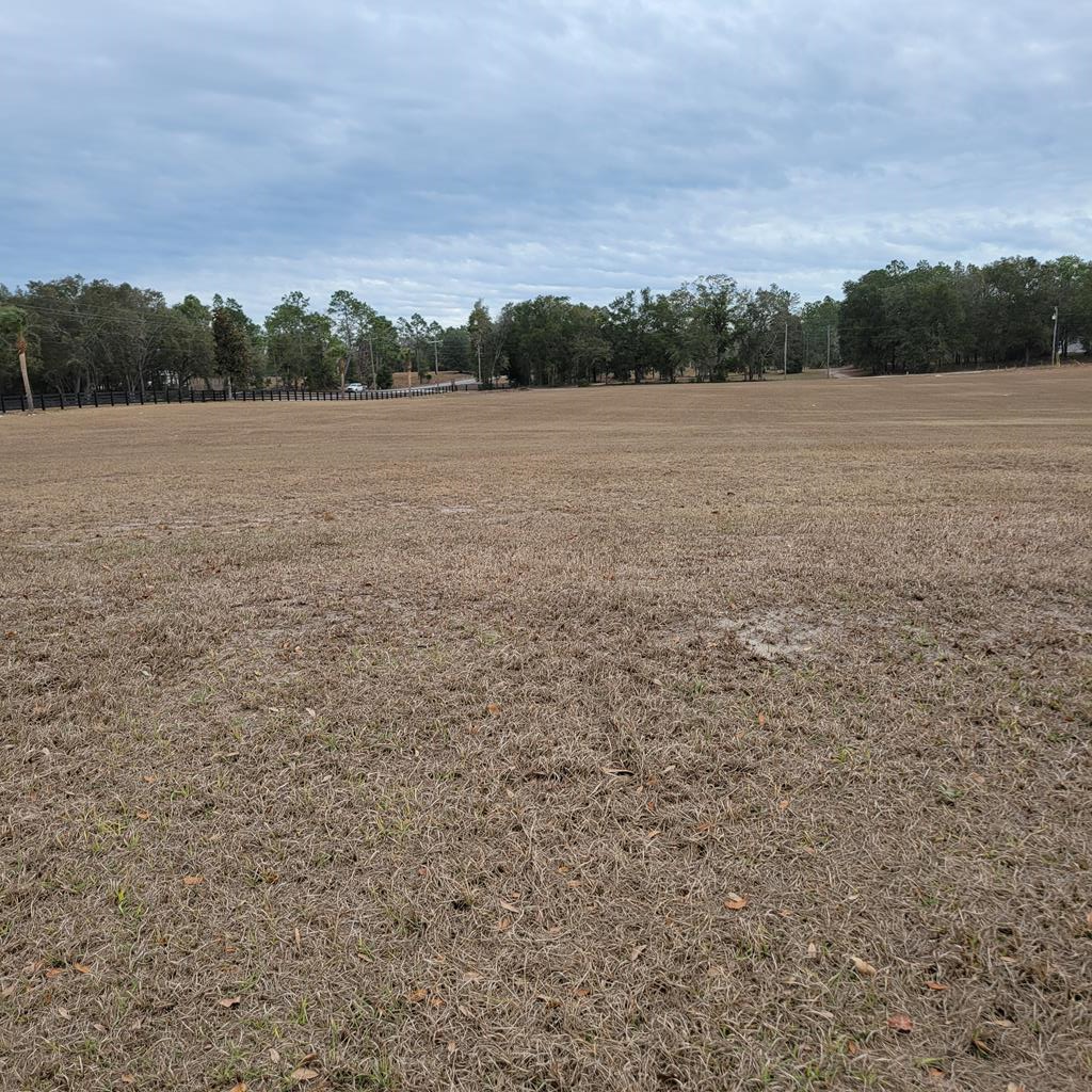 3954 NW 31st Ave, Bell, FL 32619 - #1