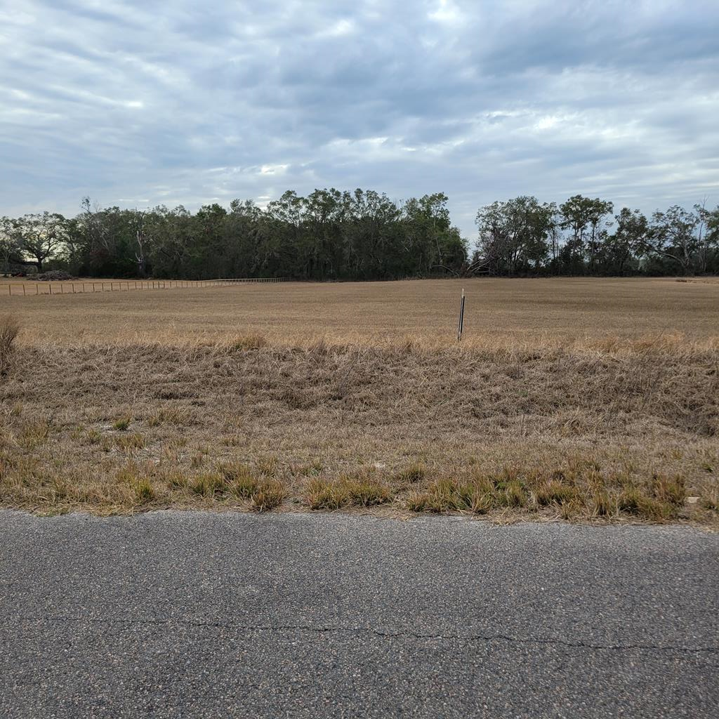 3829 NW 46th Court, Bell, FL 32619 - #1