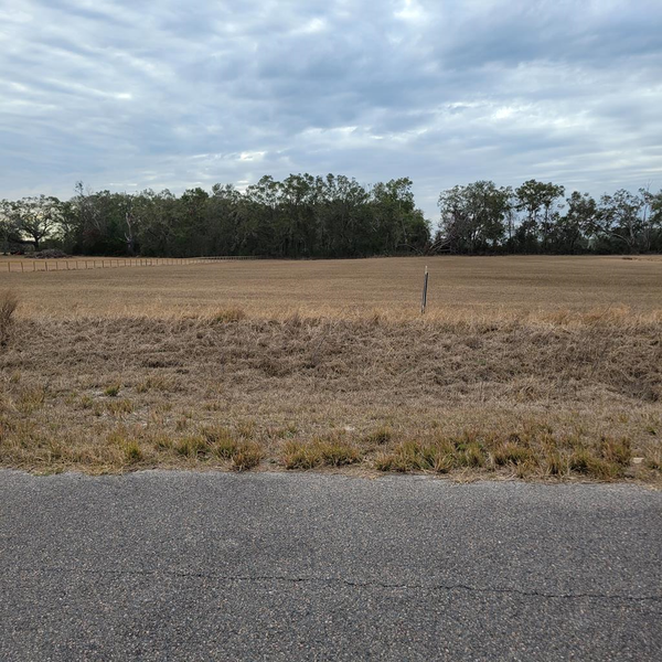 3829 NW 46th Court, Bell, FL 32619