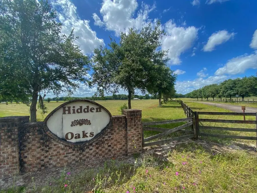 3829 NW 46th Court, Bell, FL 32619 - #2