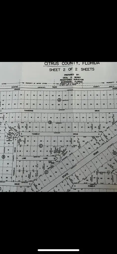 9771 W Dunnellon Road, Crystal River, FL 34428 - #2