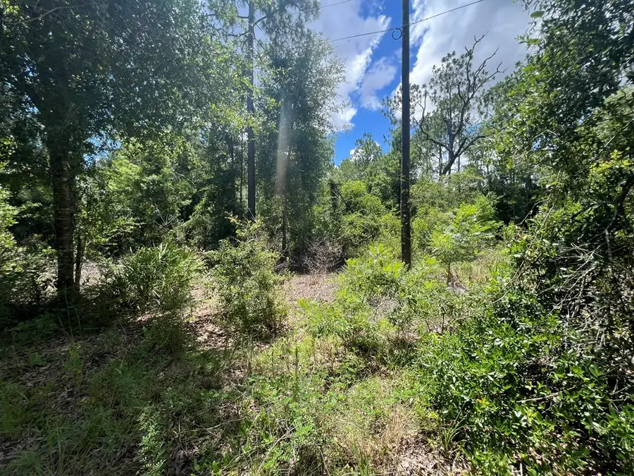 000 NE 822nd St, Old Town, FL 32680 - #2