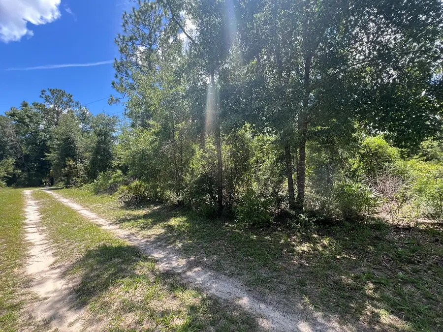 000 NE 822nd St, Old Town, FL 32680 - #3