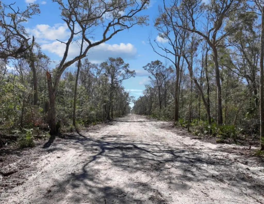 768th St, Old Town, FL 32680 - #1