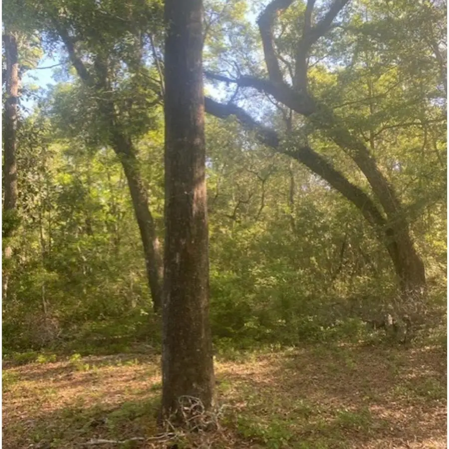 768th St, Old Town, FL 32680 - #3