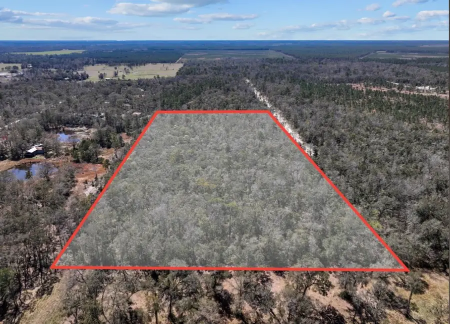 768th St, Old Town, FL 32680 - #2