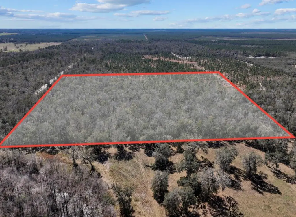 768th St, Old Town, FL 32680 - #1