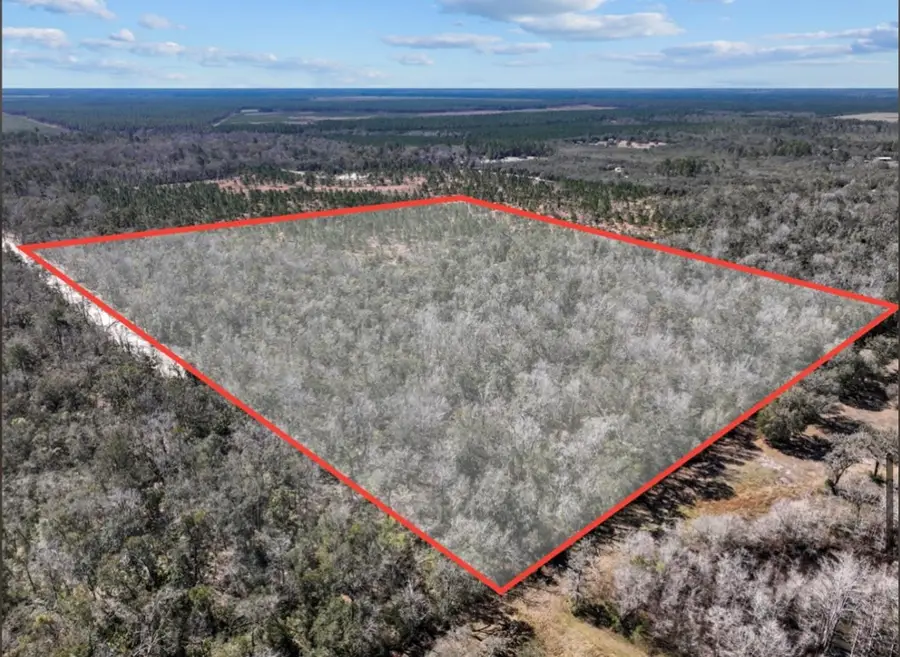 768th St, Old Town, FL 32680 - #3