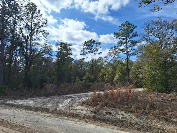 Lot 12 NE 90th Ave, Bronson, FL 32621